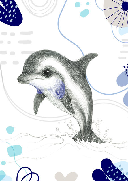Baby Dolphin