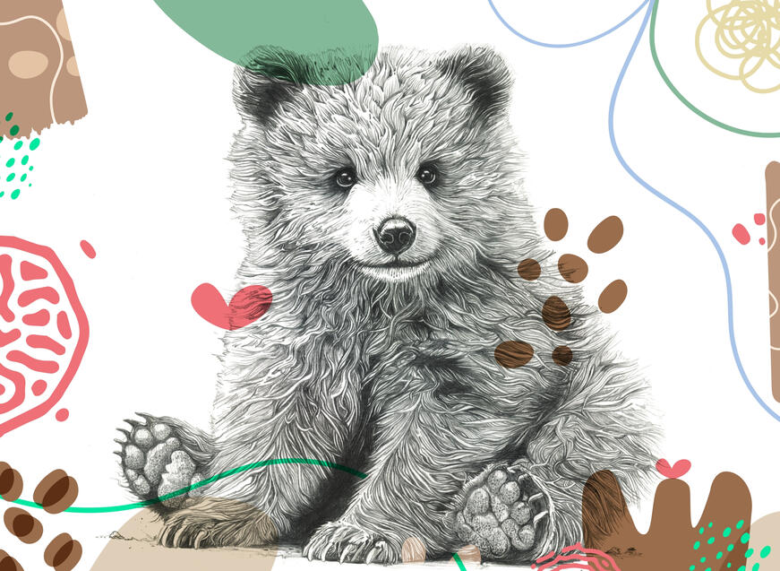 Baby Bear