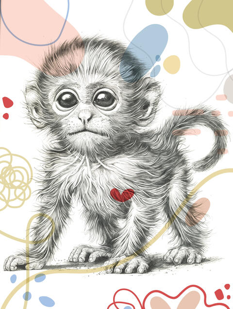 Baby Monkey