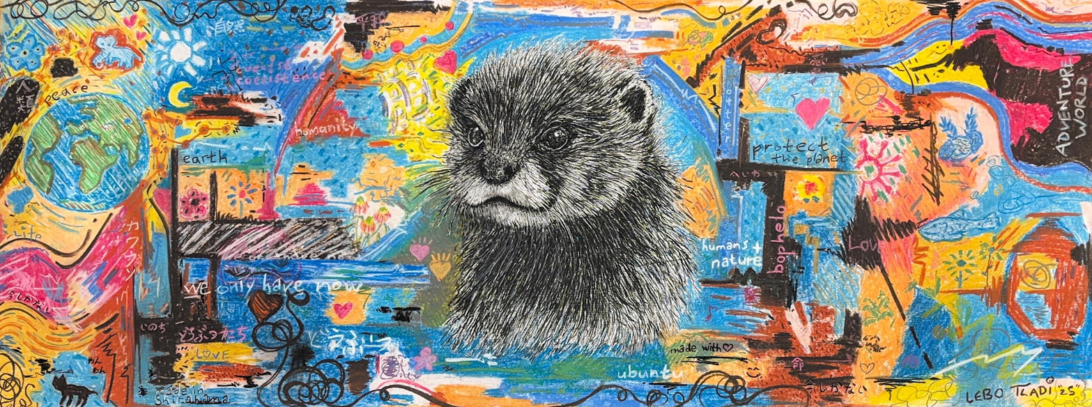 Collaboration Artwork (Complete)