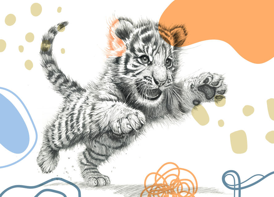 Baby Tiger